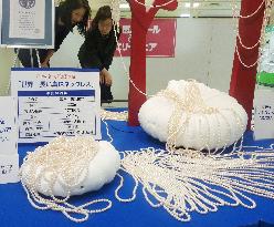 World's longest pearl necklace
