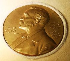 Nobel medal auctioned off for over $2 million