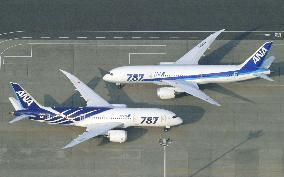 Japan lifts grounding of Boeing 787s