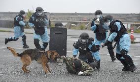 Drill against terror attack on Fukushima nuclear plant