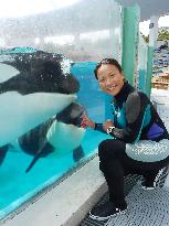 Trainer communicates with killer whales