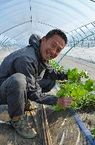 Ex-Antarctic team member becomes farmer in Hokkaido