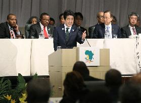 Tokyo International Conference on African Development