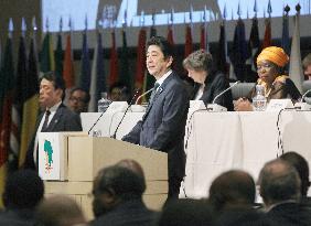 Tokyo International Conference on African Development