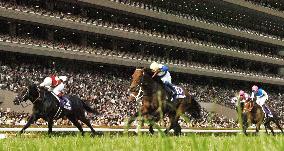 Yasuda Kinen horse race