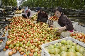 Pyongyang scene