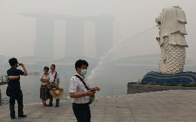 Singapore's haze crisis