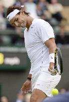 Wimbledon tennis 1st round