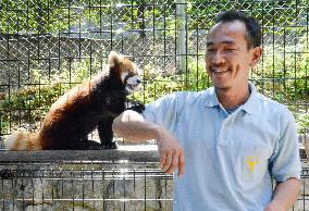 Red pandas thriving at Nagano Chausuyama Zoo