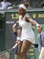 Wimbledon tennis 4th round