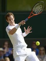 Wimbledon tennis 4th round