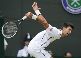 Wimbledon tennis quarterfinals