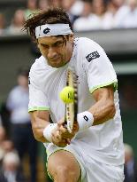 Wimbledon tennis quarterfinals