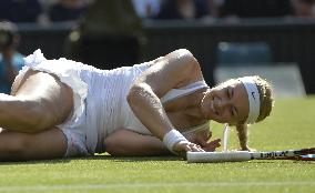Wimbledon tennis semifinals