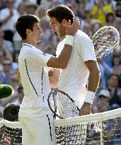 Wimbledon tennis semifinals