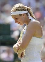 Wimbledon tennis final