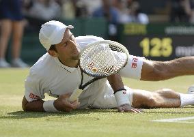 Wimbledon tennis final