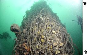 Undersea debris