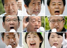 Upper house election in Japan