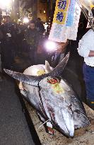 Bluefin tuna catch