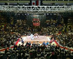 Sumo in Jakarta