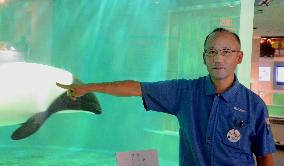 Man helps dolphins survive 3.11 quake-tsunami