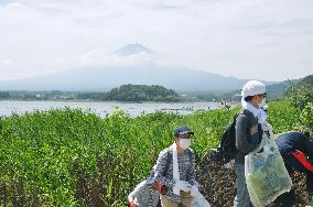 Ecosystem of Mt. Fuji threatened by alien plants