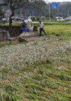 Tornados hit Tochigi Pref.