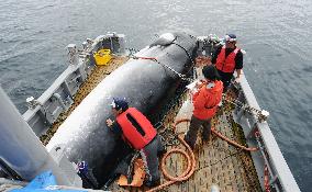 Japan's research whaling