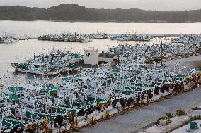 Fukushima fisheries to resume trial fishing