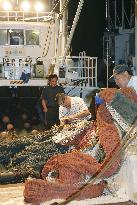 Fukushima fishermen restart operations