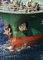 Freighter collision off Tokyo