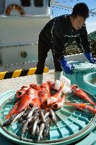 Fukushima fishermen begin trial operations