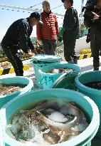 Fukushima fishermen begin trial operations