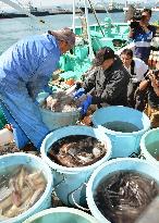 Fukushima fishermen begin trial operations