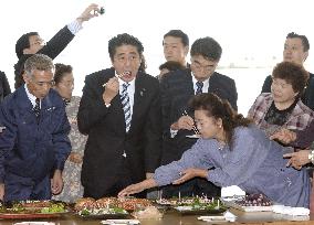 Abe in Fukushima