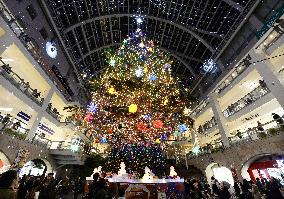 15-meter-tall Christmas tree