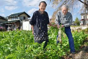 Elderly couple opt to stay in Fukushima village