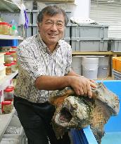 "Dr. Turtle" has studied the creatures for decades