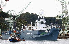 Japan's research whaling
