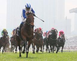 Hong Kong Sprint horse racing