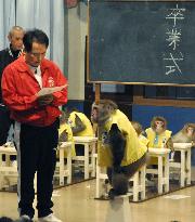 Graduation ceremony held for popular monkey group in Nikko