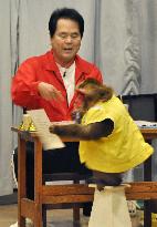 Graduation ceremony held for popular monkey group in Nikko