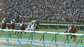 Arima Kinen horse race