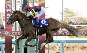Arima Kinen horse race