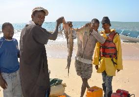 Mauritania fishing