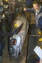 Tuna fetches 7.4 mil. yen at Tokyo auction