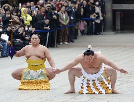 Hakuho, Harumafuji perform dohyo-iri at Meiji Shrine