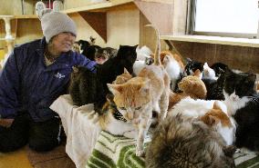 70 animals remain in shelter in Sendai