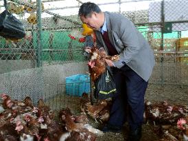 Live poultry trade in Shanghai